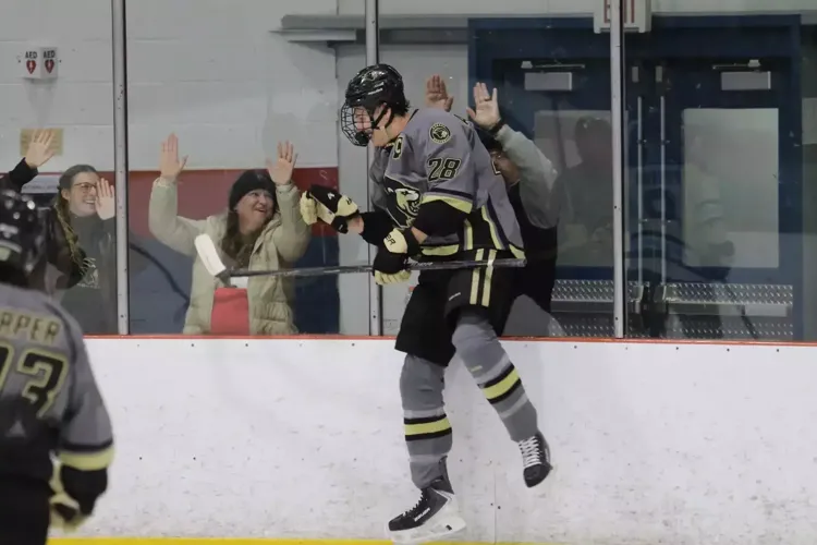 #14 D1 Men's Hockey dominates Roosevelt in weekend sweep