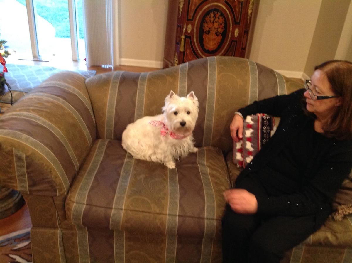 Grosser dog