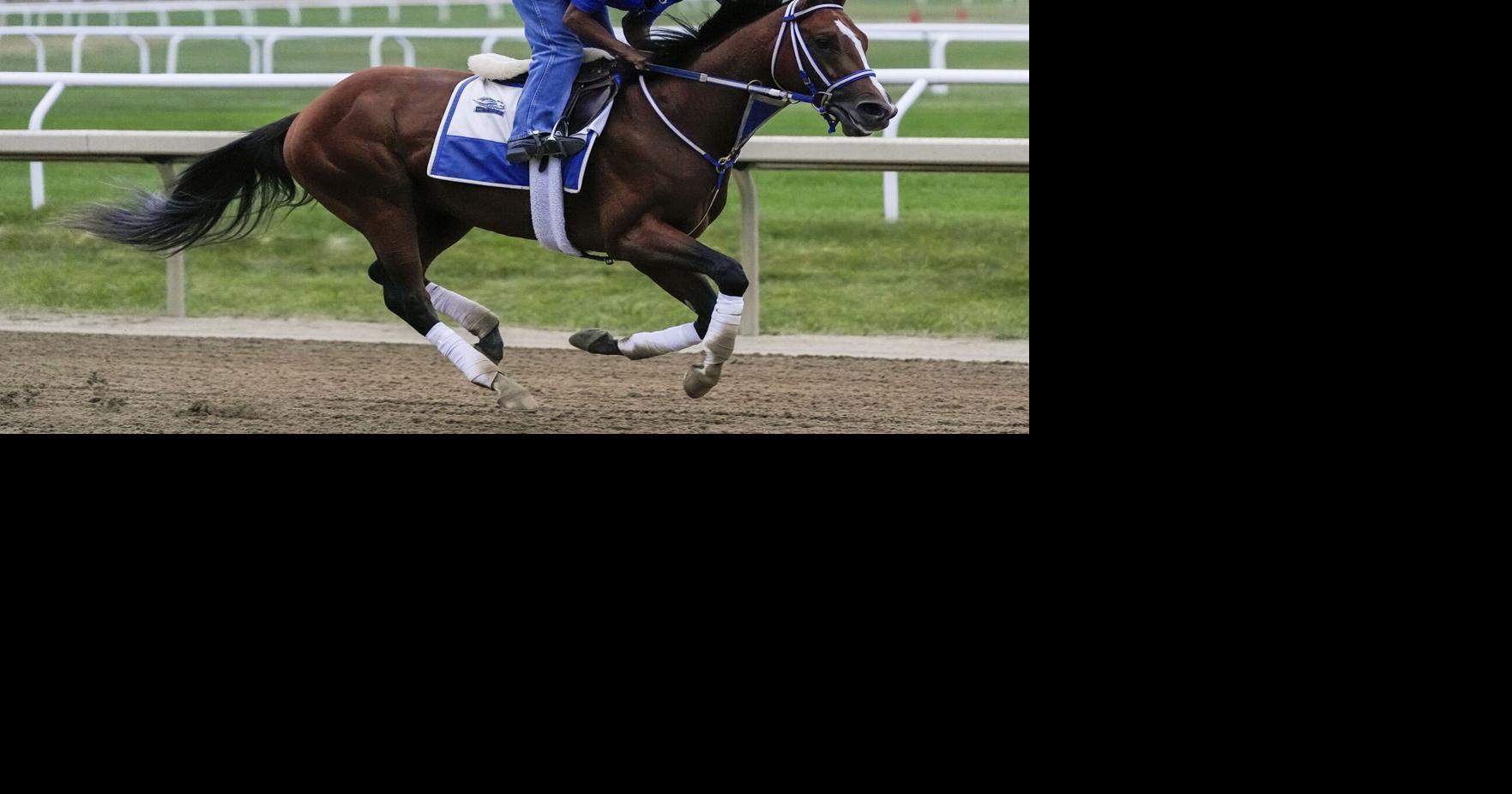Belmont could be best of this year #39 s Triple Crown races
