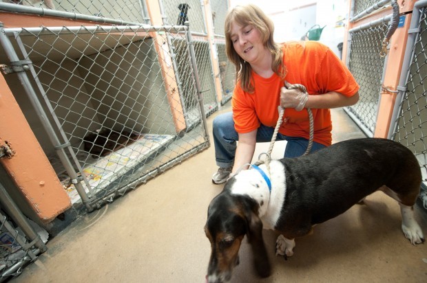 Animal shelters overwhelmed