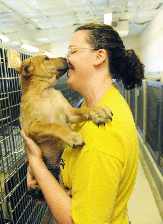 Humane Society Calumet Area vies for piece of $600,000 in grants: HSCA ...