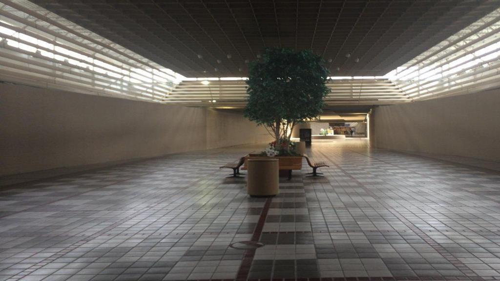 Sears Bankruptcy Could Doom Struggling Marquette Mall In Michigan