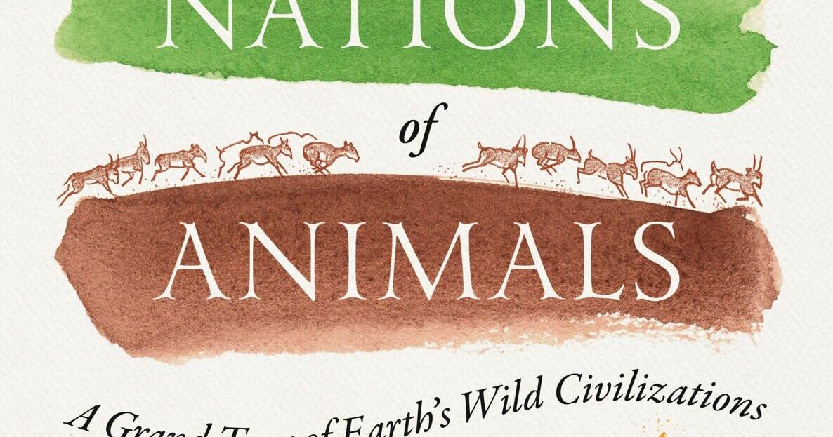 How a California wildfire inspired a book about hidden animal societies
