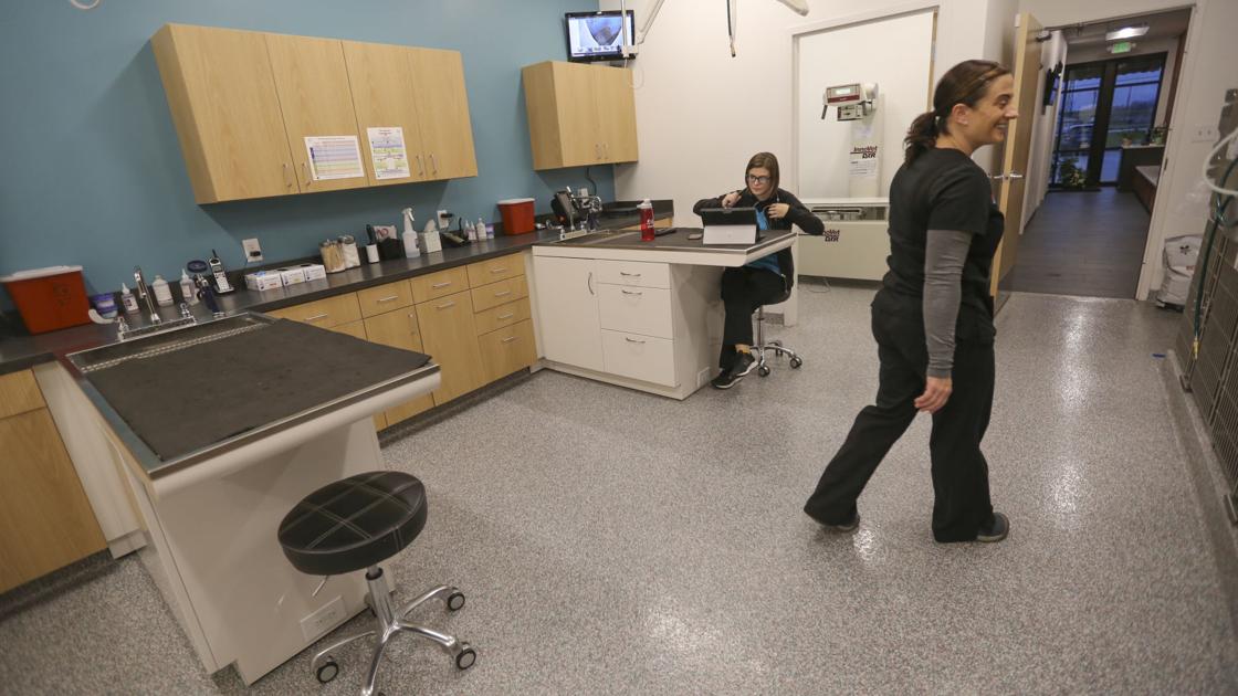 Veterinarian Aims To Offer Urgent Care Clinic Concept For Pets