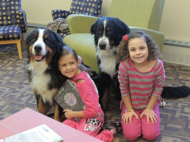 CP Library hosts Reading to the Dogs event