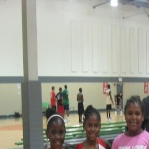 Former Lew Wallace Star Wnba Player To Give Skills Camp College Basketball Nwitimes Com