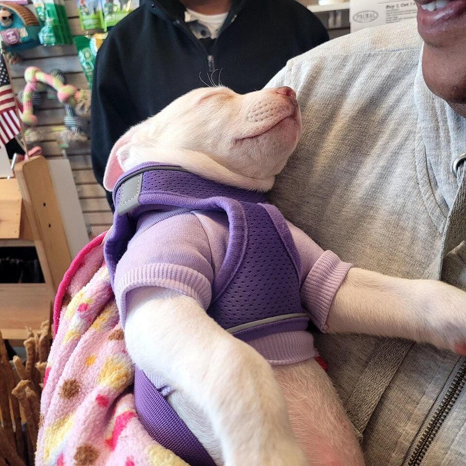 Cause 4Paws Gary and Petco host pet vaccination event