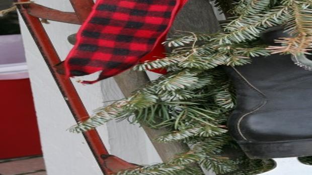 O Tannenbaum Cut Your Own Tree And Create A Memory Home Garden Nwitimes Com