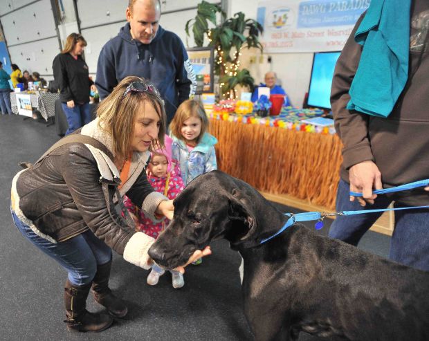 Animal Wellness Fair features vendors, free services