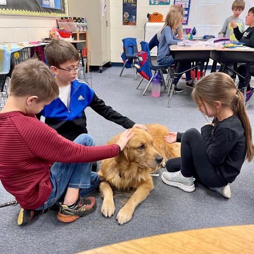 Davis the therapy dog eases students' anxiety, staff exhaustion at Frankfort Square School