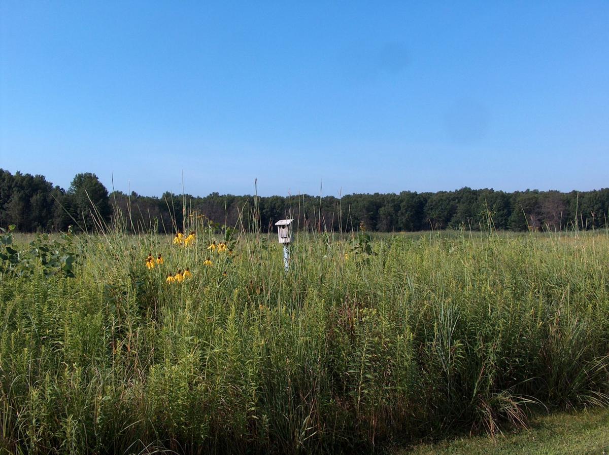 Lake County Parks at 50