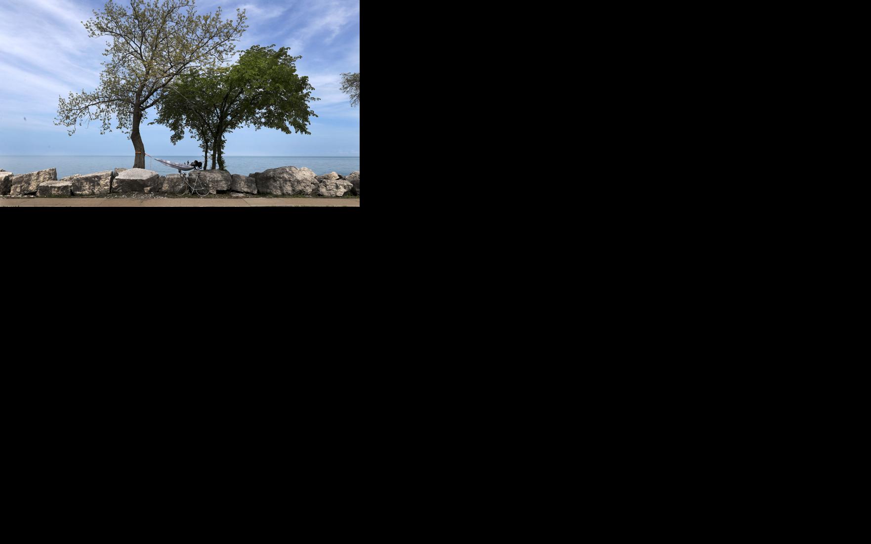Asset-image