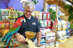 The Ark Pet Shop celebrates 45 years of staying afloat amid flood of corporate rivals