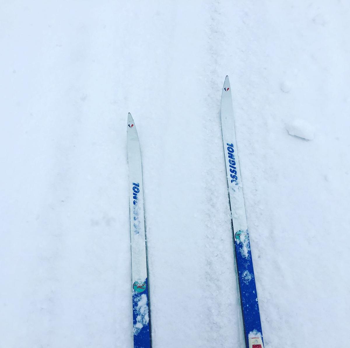 Snow 2018