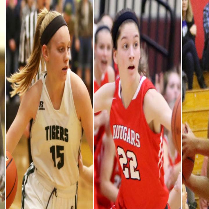 The 2017 18 Preseason All Area Girls Basketball Team Nwi Preps