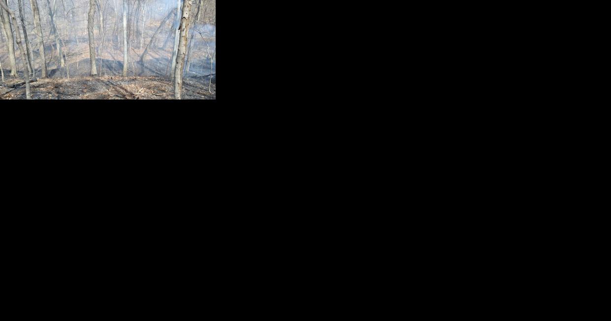 Sixandahalf acres burned in brush fire in Liberty Twnship