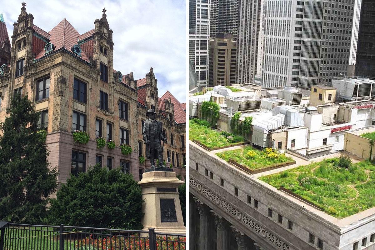City hall vs. city hall