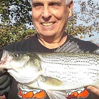 Timothy J. Ribble, Ph.D.