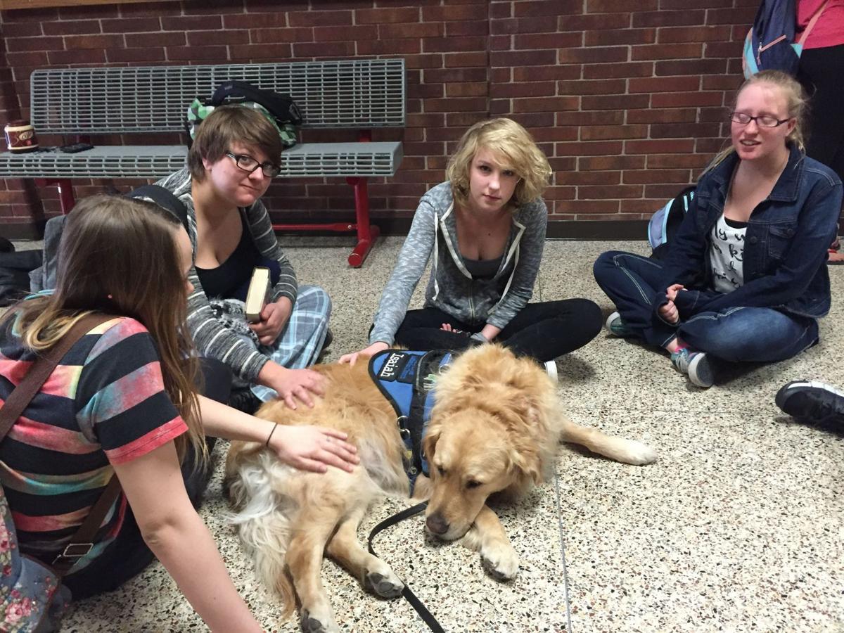 Comfort dog teaches students how to treat others