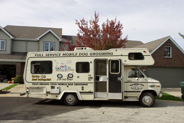 mobile dog grooming table view