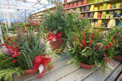 Best Garden Nursery Alsip Home Ping In Best Garden Nursery Nwi Alsip Home