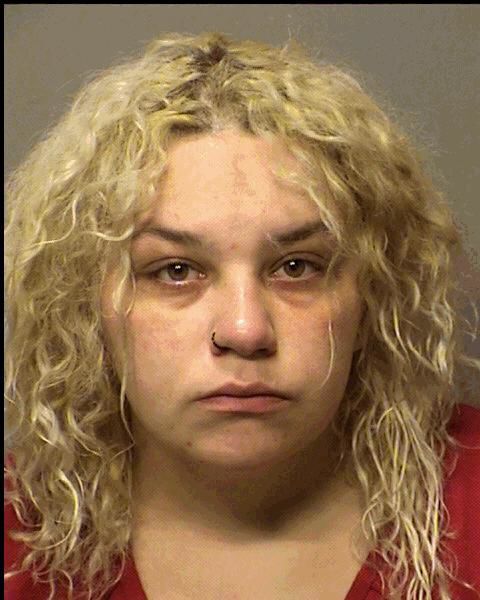 recent bookings porter county jail