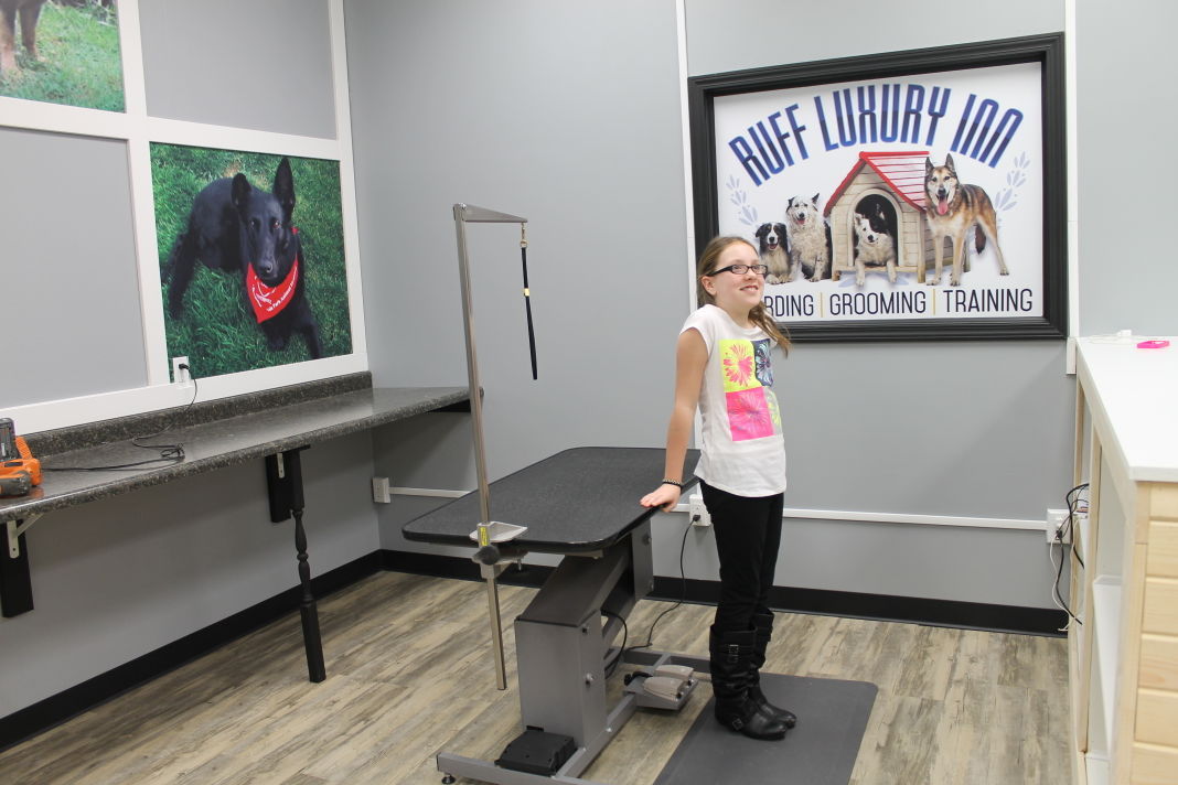 Valparaiso couple set to open luxury dog kennel | Porter County News