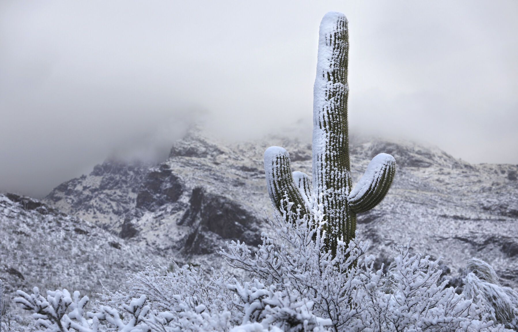 APTOPIX Winter Weather Arizona