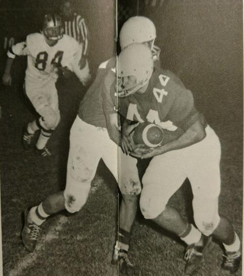 Ted Harper