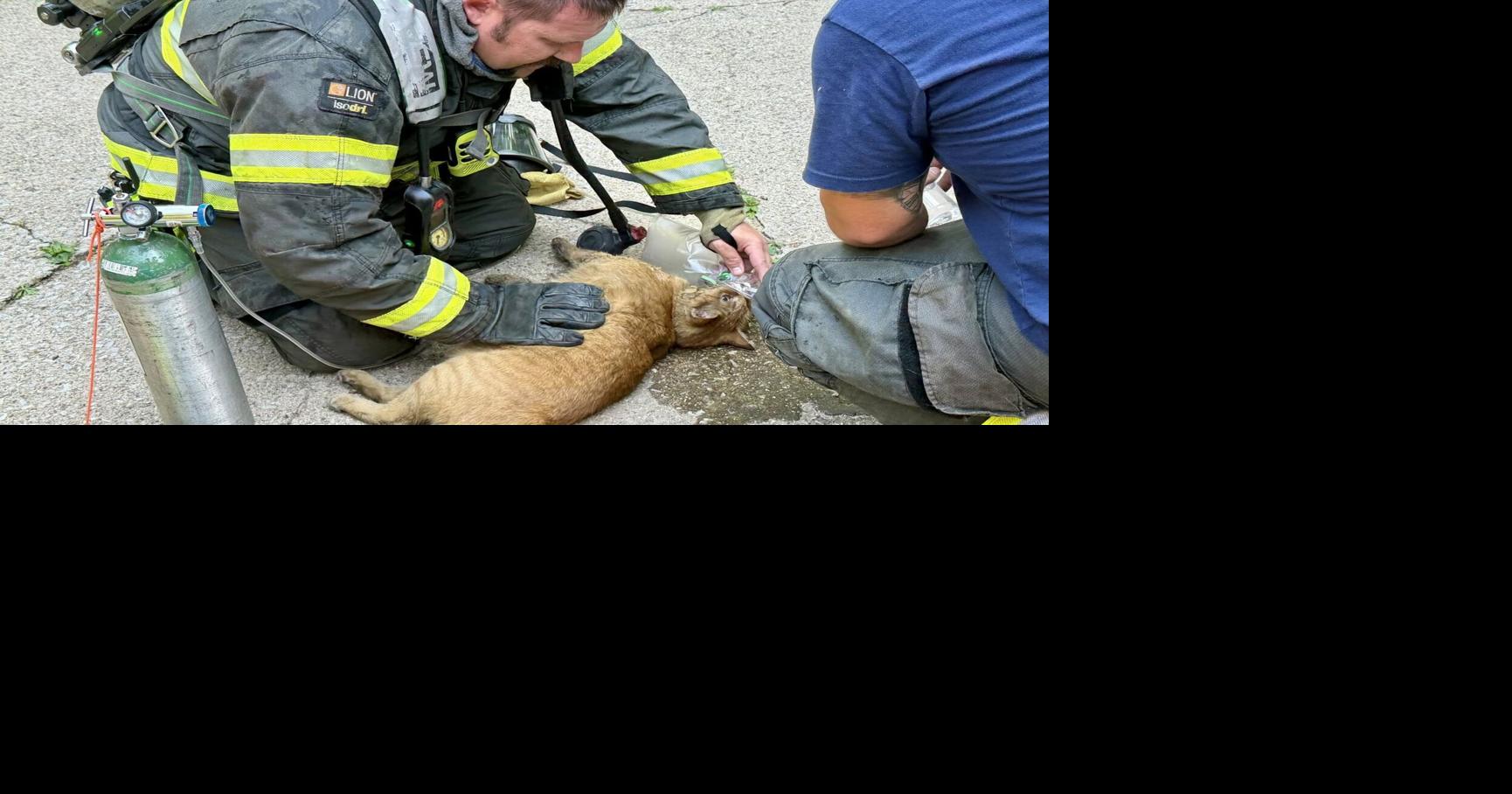 3 cats saved in Michigan City house fire