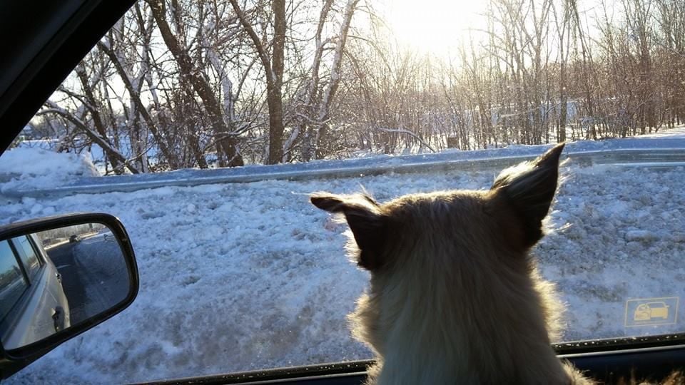 Snow 2018
