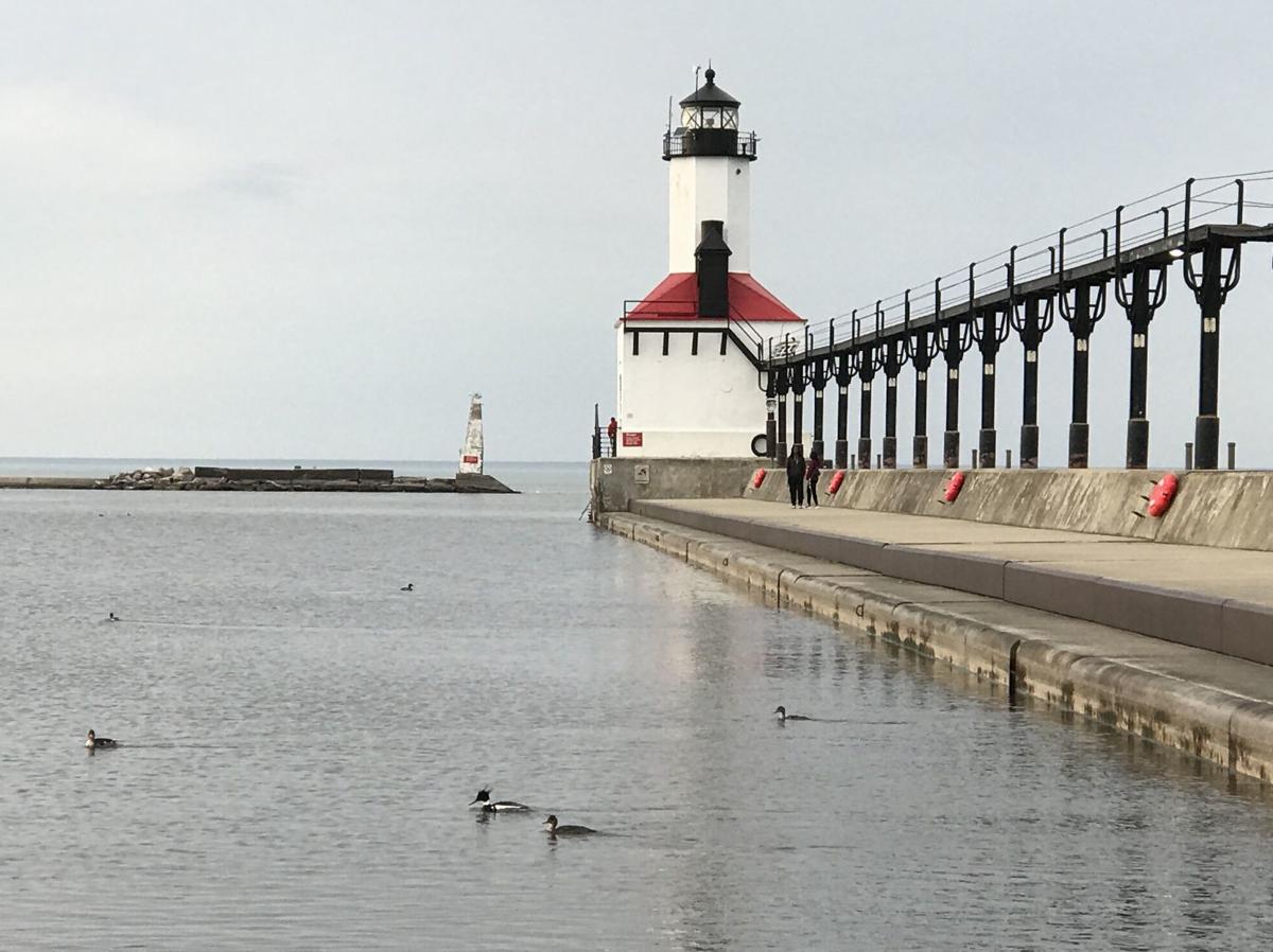 Revitalizing the city, building industrial base goals for Michigan City