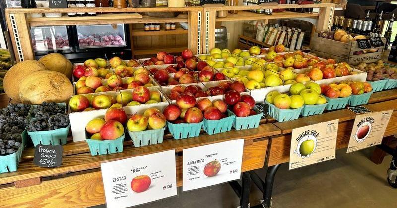 8 things grocery stores can help you do with apples