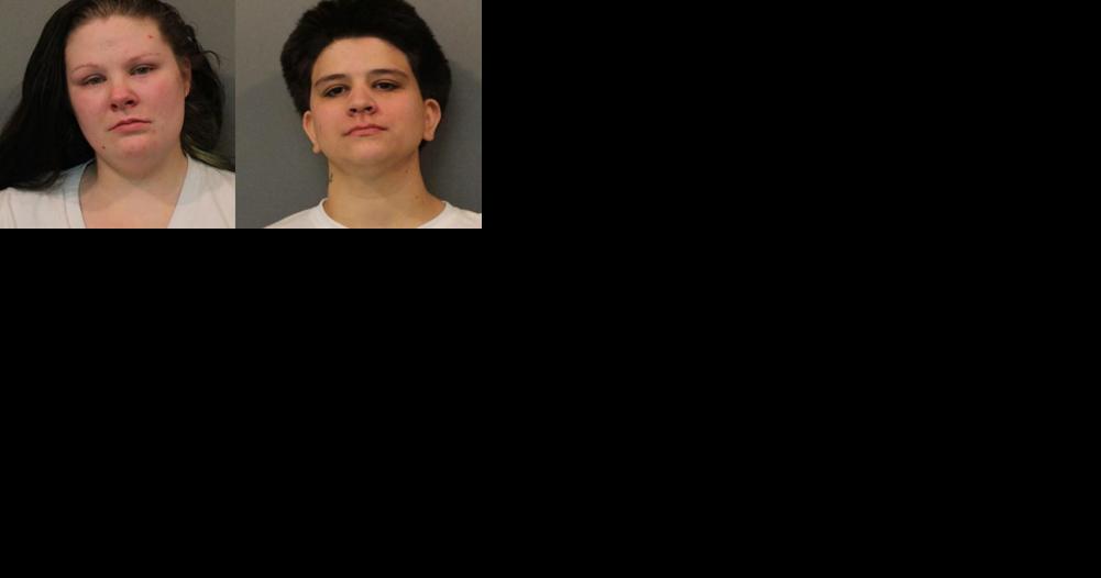 Woman pleads guilty in abuse, homicide of wife's 10-year-old brother - Vimarsana News
