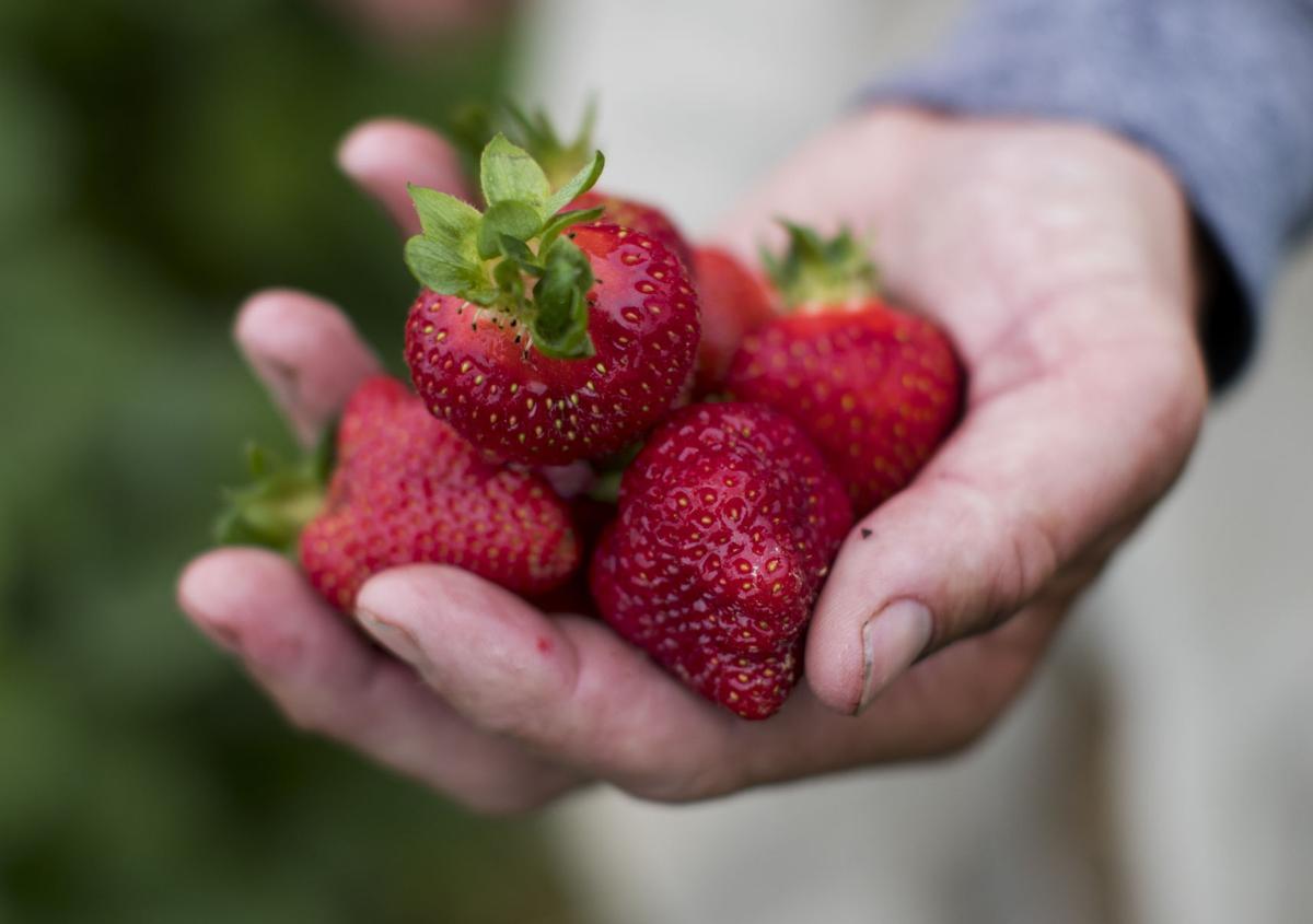 How to eat, drink (in moderation) and age well