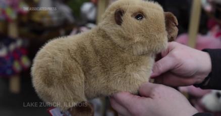 Capybaras take their turn as the holiday season's 'it' animal