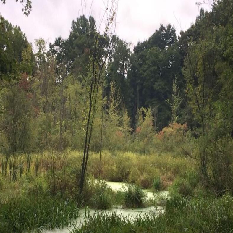 Old Fruit Farm Woods Donated To Shirley Heinze Land Trust Laporte County News Nwitimes Com