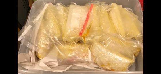 Police seize 12 pounds of meth in Munster