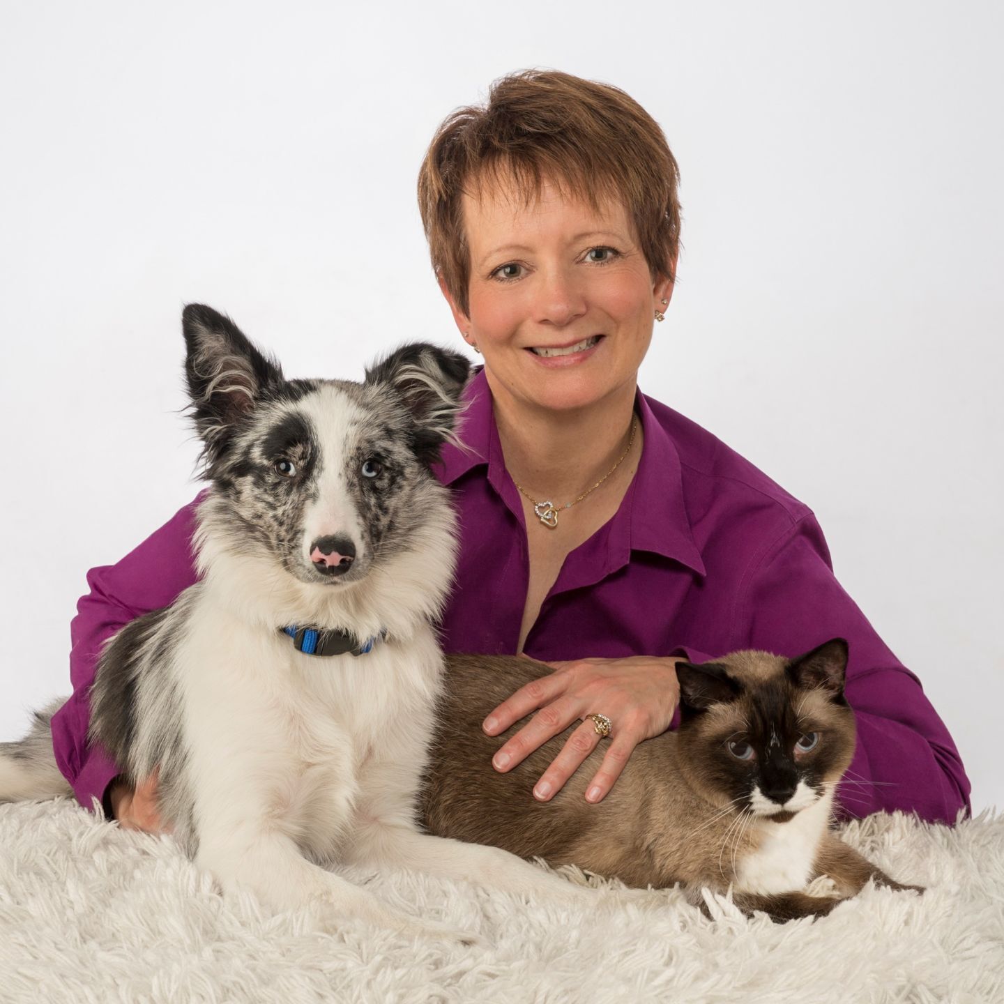 purdue emergency vet