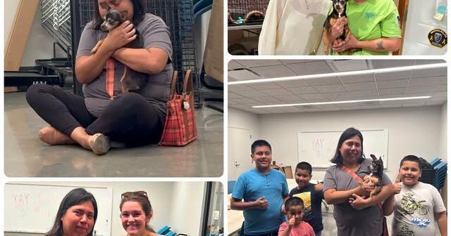 Dog missing 12 years is reunited with family