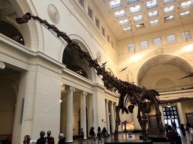 Calumet Region exhibit at Field Museum tells 'nationally significant