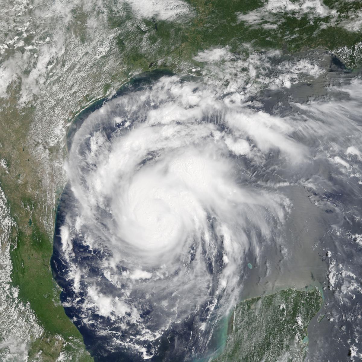 Harvey