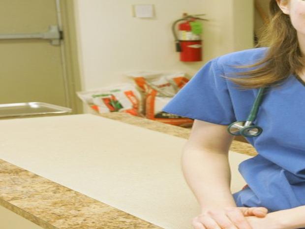 Pet Vet Express In Dyer Fills Area Need For Affordable Outpatient Care For Dogs And Cats Dyer News Nwitimes Com