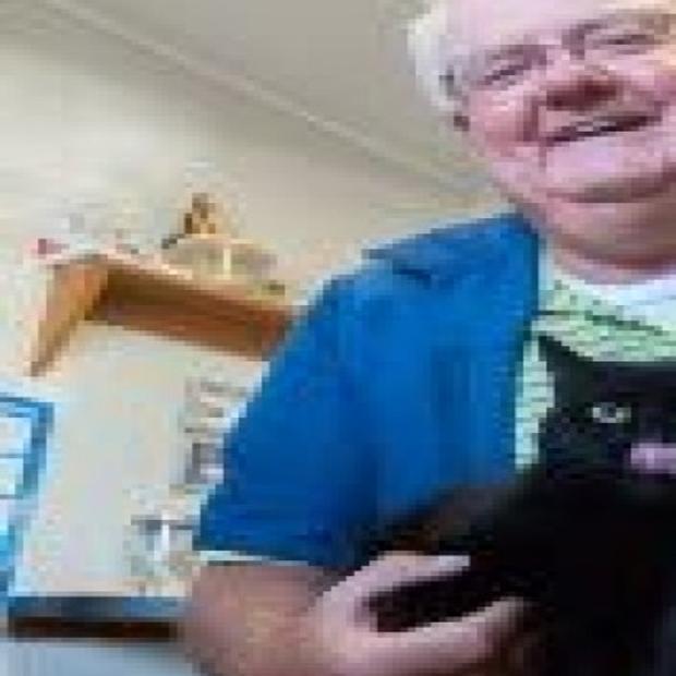Hammond Vet Comes To The Rescue Of Cats Hammond News Nwitimes Com