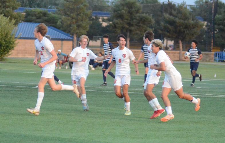 Strong tourney finish shows youth on Lincoln-Way West's side in boys soccer