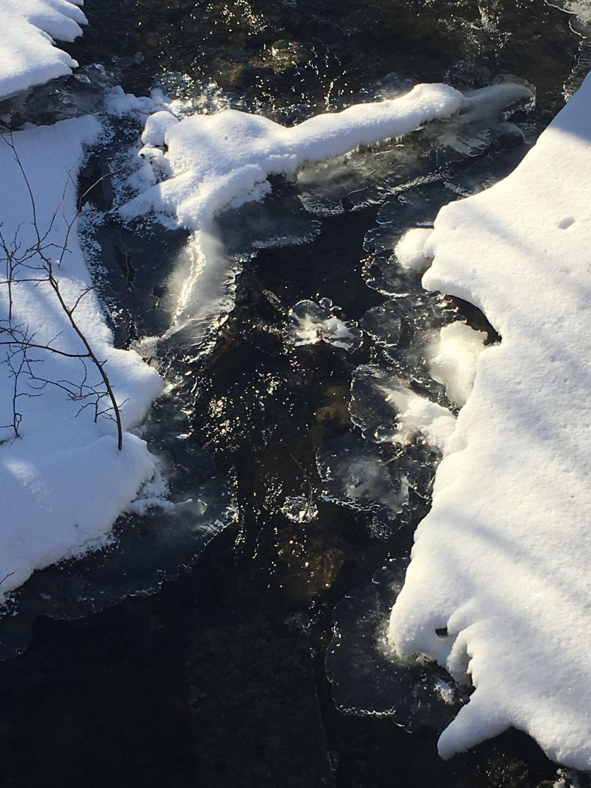 Snow 2018
