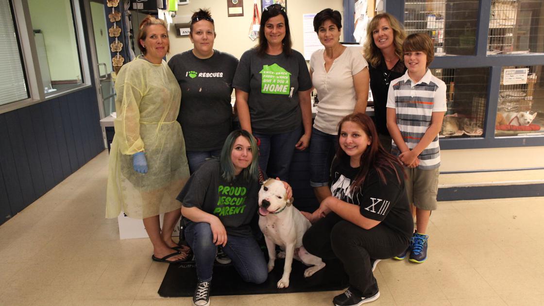 Alsip To The Rescue Provides A Safe Haven In St John Lifestyles Alsip To The Rescue Provides A Safe Haven In St John Lifestyles Pets Nwitimes