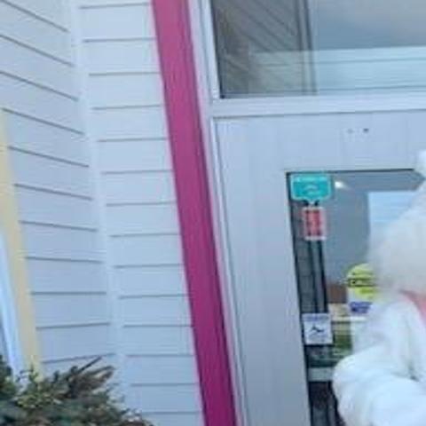 Bunny Hands Out Free Easter Baskets To Those In Need At Albanese Candy Factory Latest Headlines Nwitimes Com