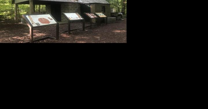 Maple Syrup Time to return to Indiana Dunes National Park - Vimarsana News