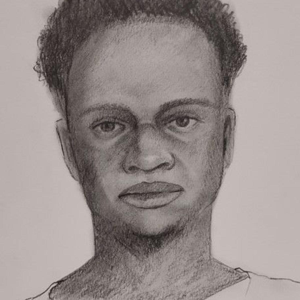 Person Of Interest Sketch Released In Homicide Of 2 Year Old Region Girl 20k Reward Offered Crime And Courts Nwitimes Com
